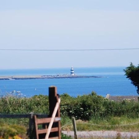 Beautiful One Bed With Stunning Sea View Lejlighed Waterford Eksteriør billede