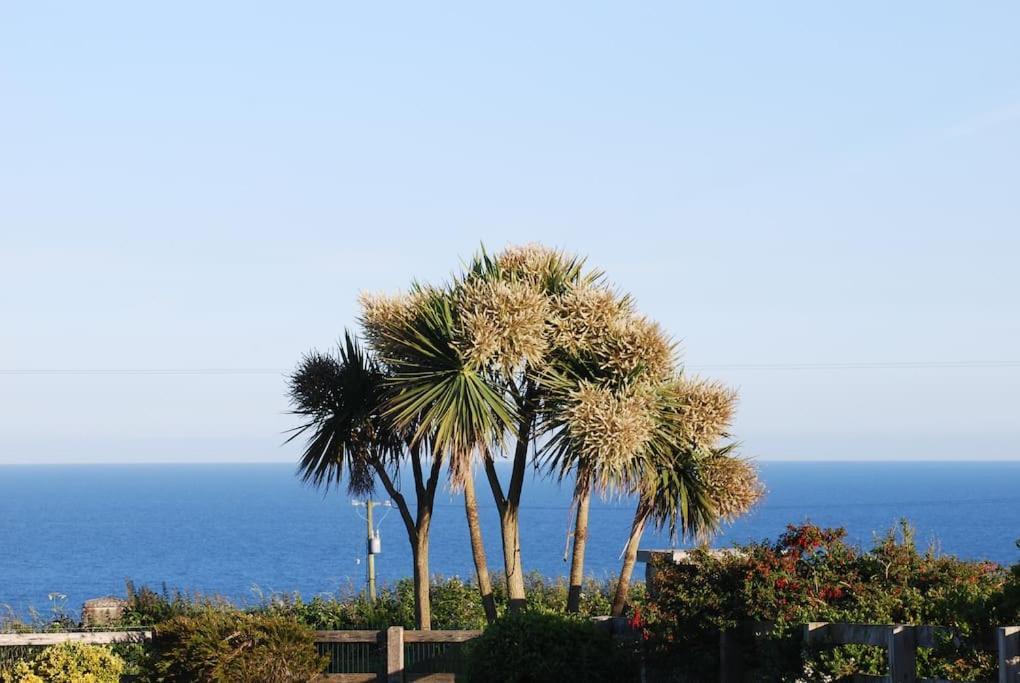 Beautiful One Bed With Stunning Sea View Lejlighed Waterford Eksteriør billede